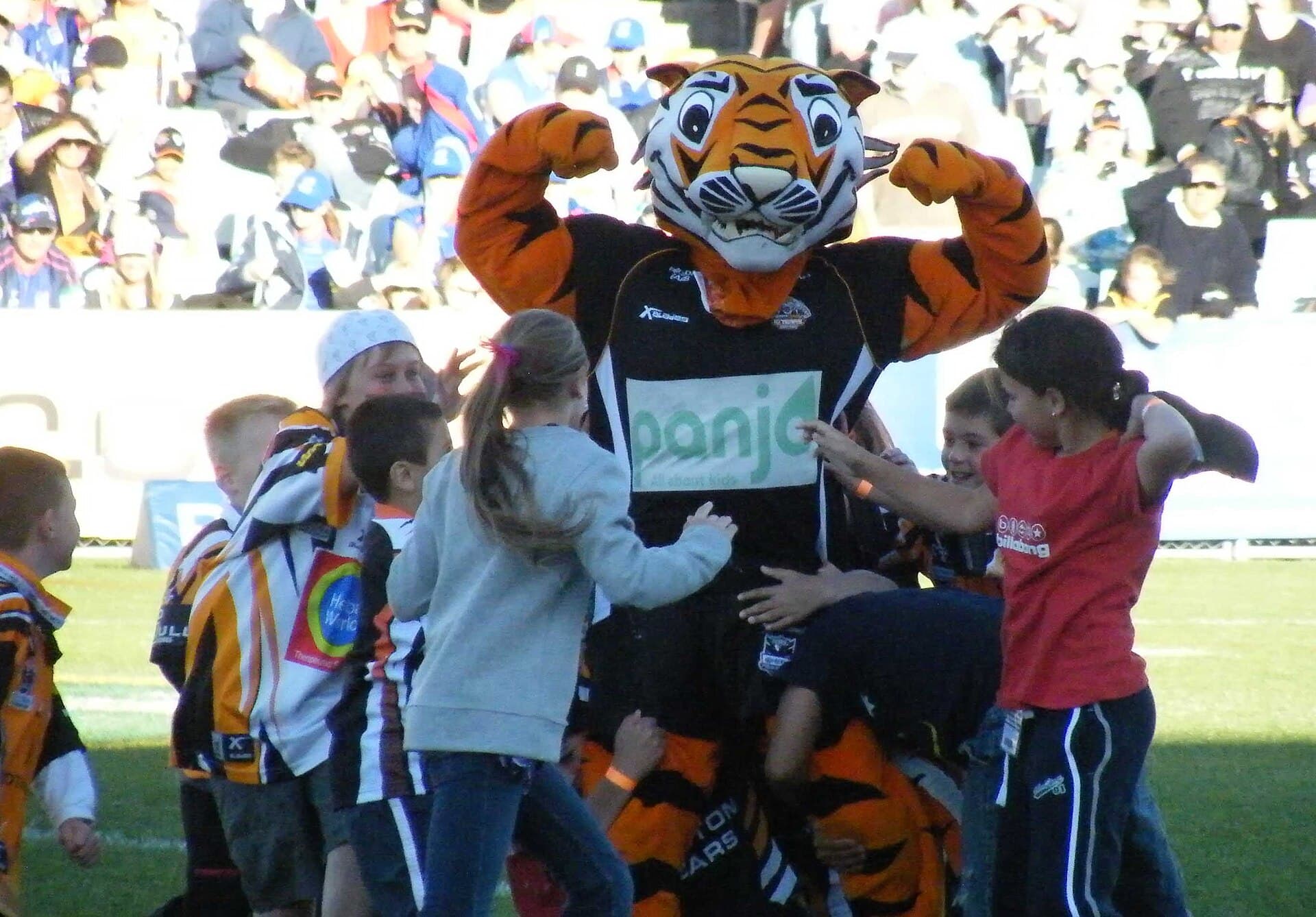 Contextual image of Wests Tigers mascot