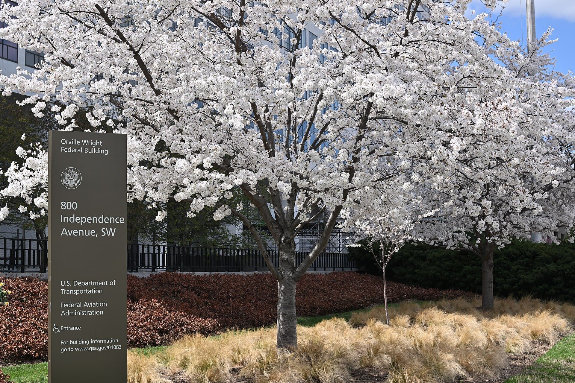 Contextual image of DOT FAA Orville Wright Federal Building sign Washington DC 2025-03-26 11-53-32 1